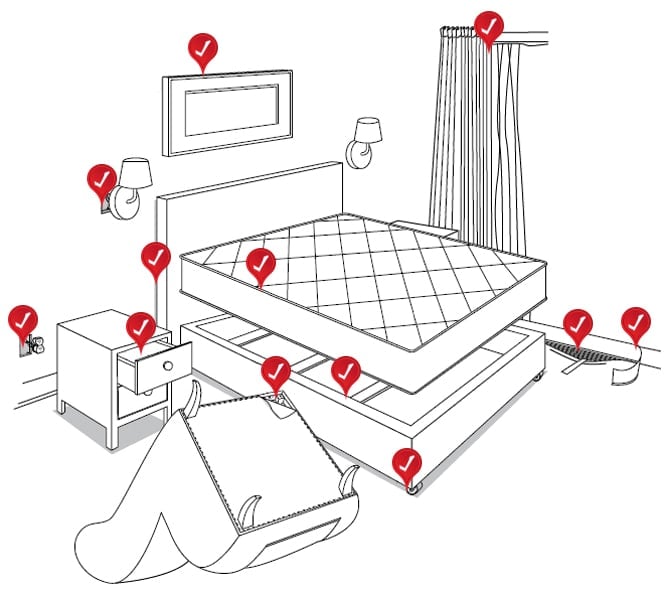 How To Check For Bed Bugs | Signs & Inspection Guide