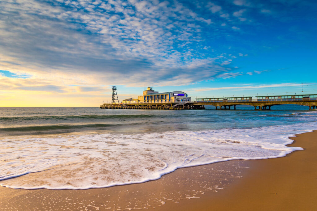 bed bug treatment bournemouth