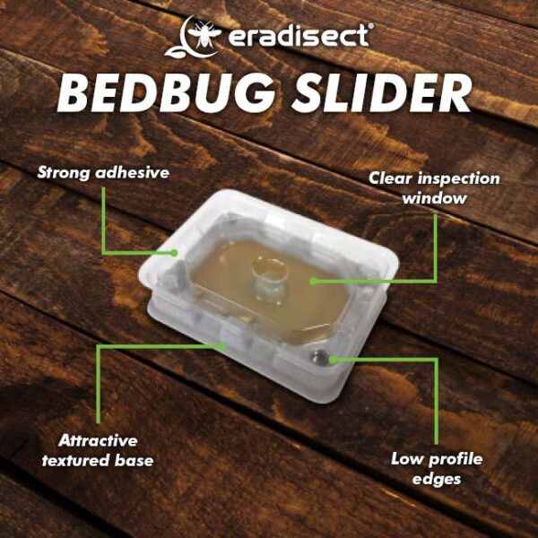 Bed Bug Slider (Pack of 4)