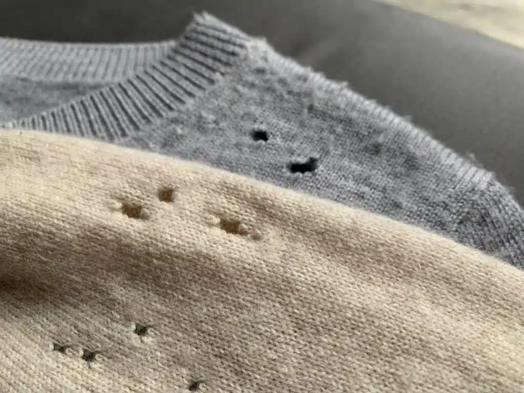 moth heat treatment for damaged clothes