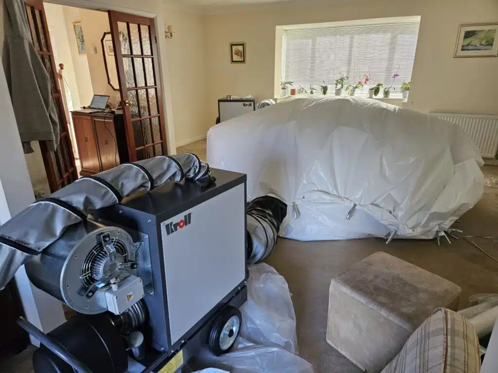 bed bug heat treatment kills bed bugs instantly