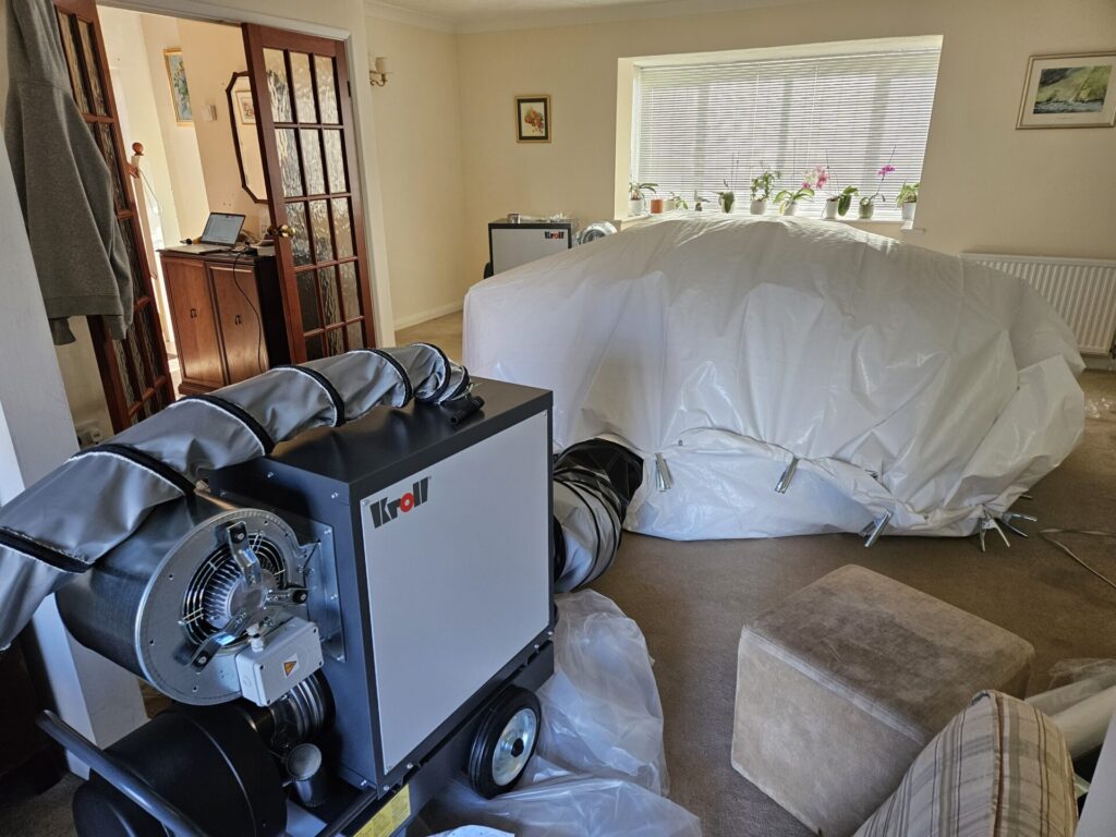 bed bug heat treatment