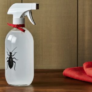 Vinegar Can Kill Bugs