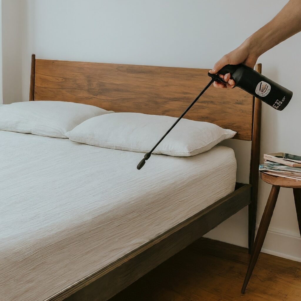 Environmental Factors that Attract Bed Bugs: What You Need to Know