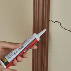 For Bed Bugs Spread