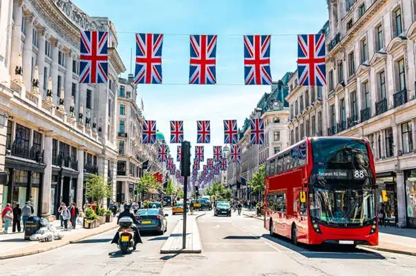 Bed Bugs in Zone 1: Fast Fixes for Central London Homes