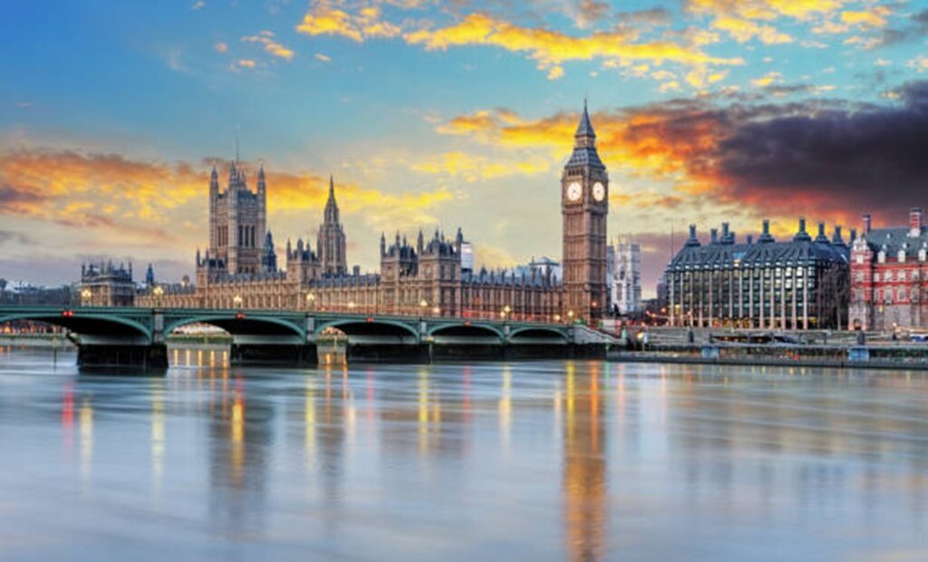 Signs of Carpet Moths and How Moth Pest Control London Can Help 2 bed bug london