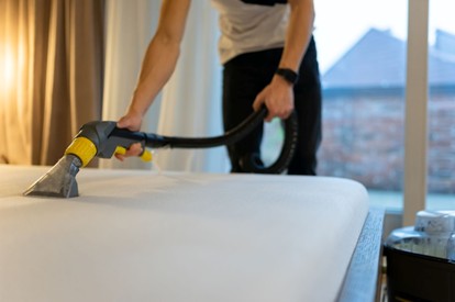 Bed Bug Cleaning London 1 Bed Bug Cleaning London