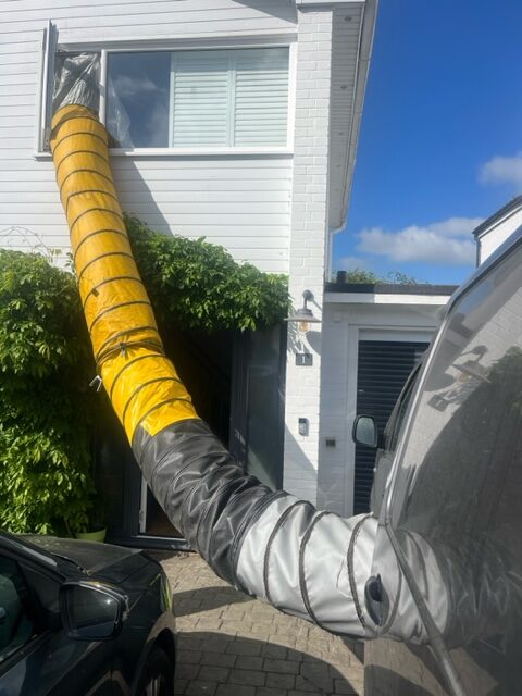 bed bug heat treatment london
