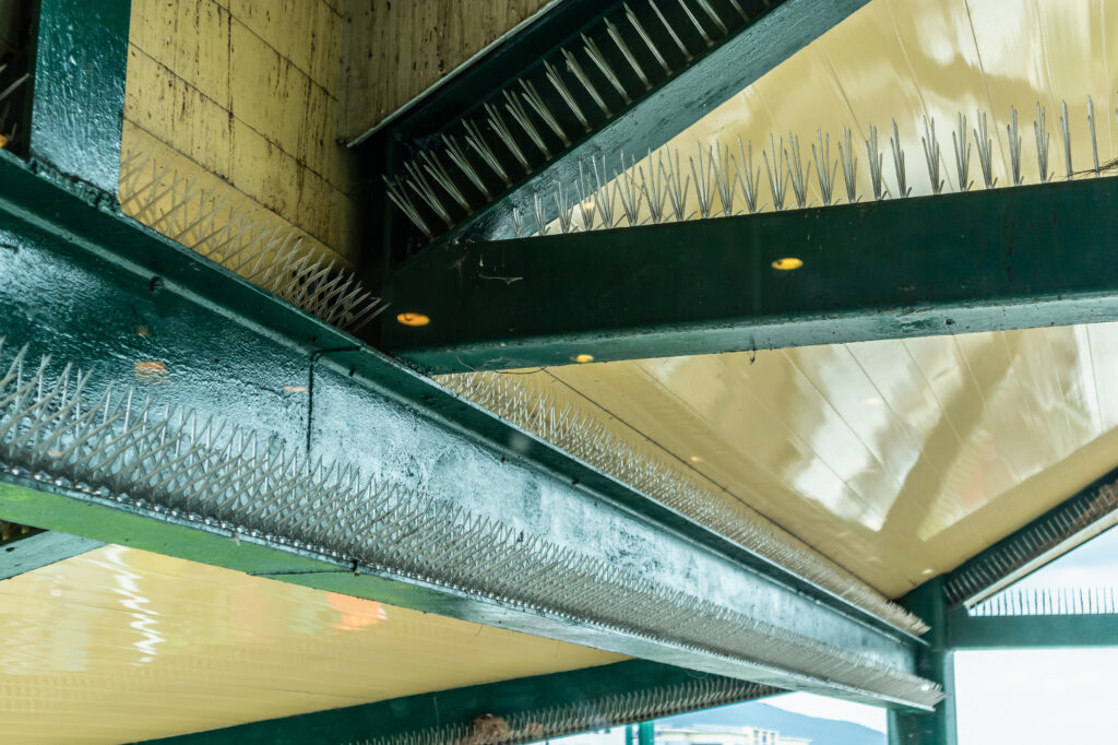bird spikes for pigeons and gulls