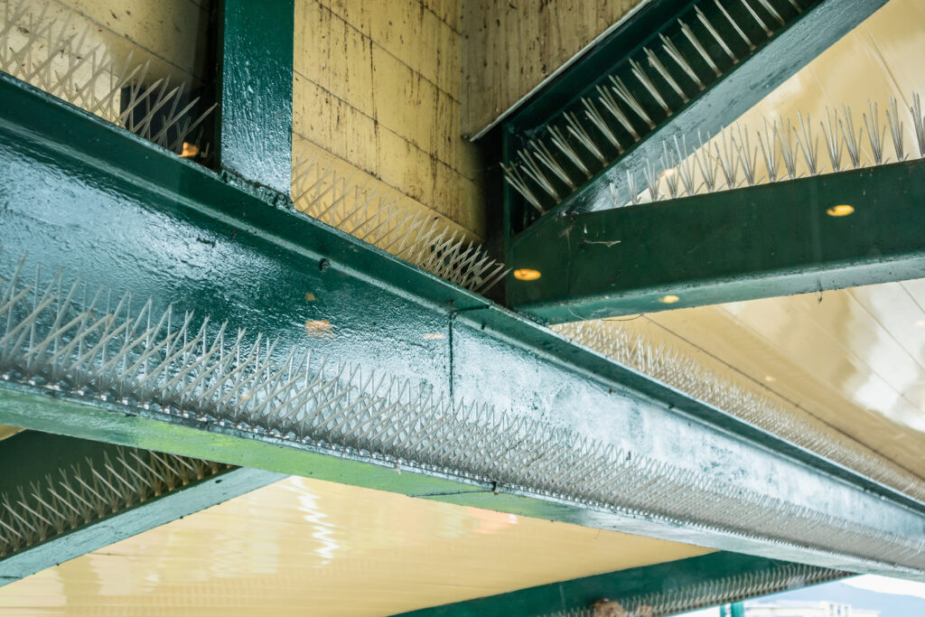 bird spikes Bird Spikes