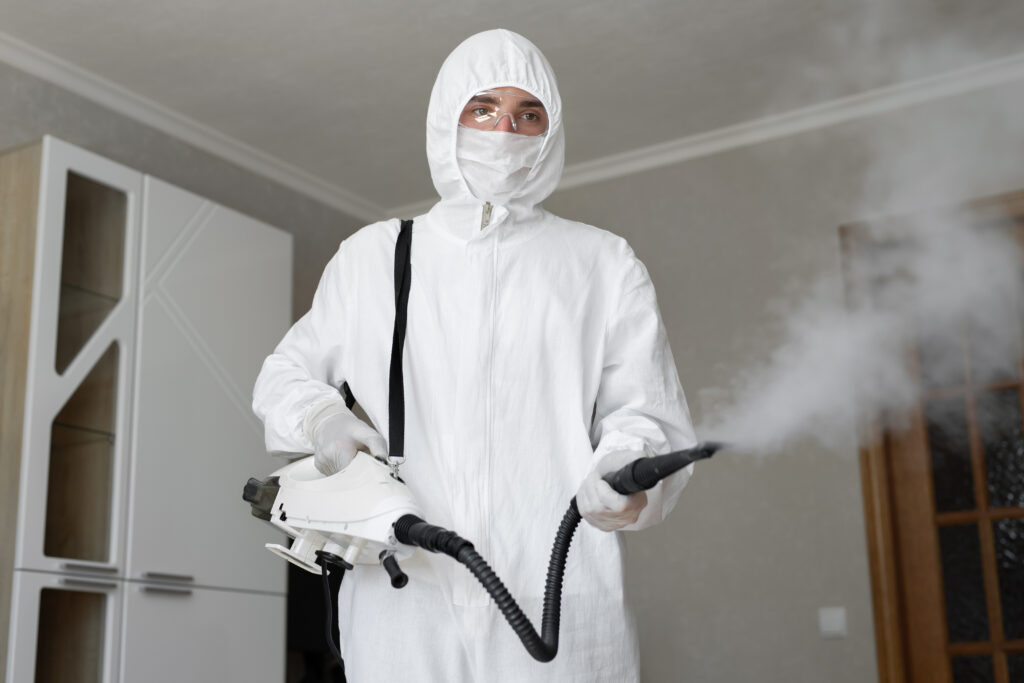 thermopest pest disinfection services