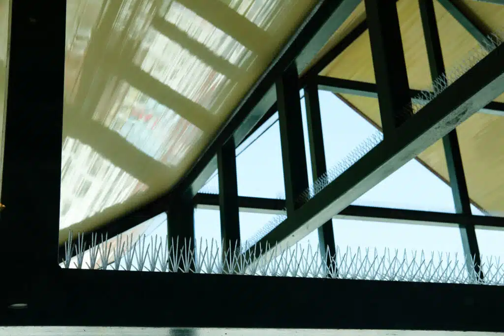 bird spiking for pigeons