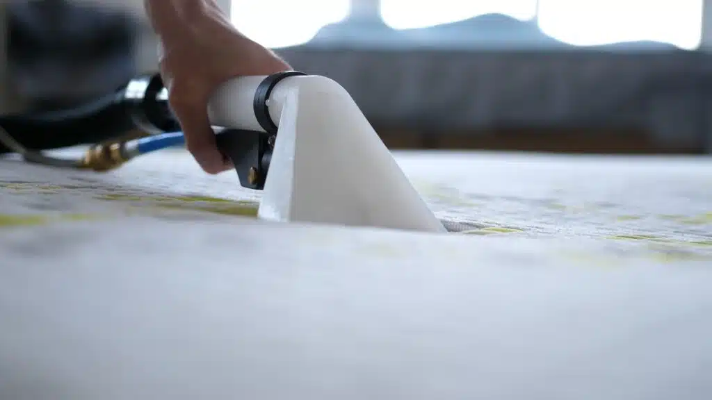 professional mattress cleaning