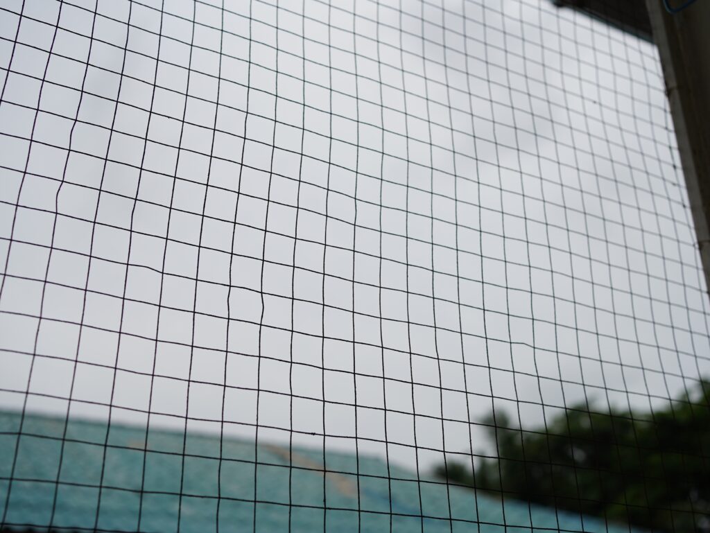 bird netting services