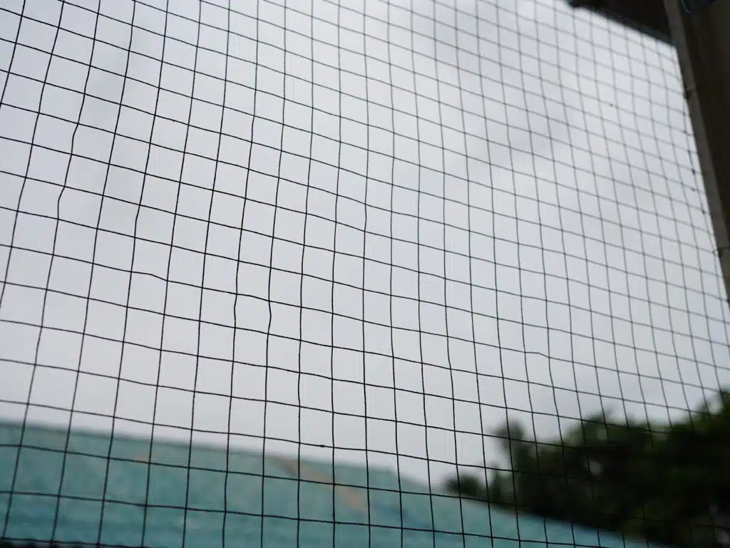 bird netting services