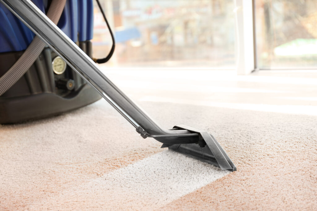 professional carpet cleaning by thermopest