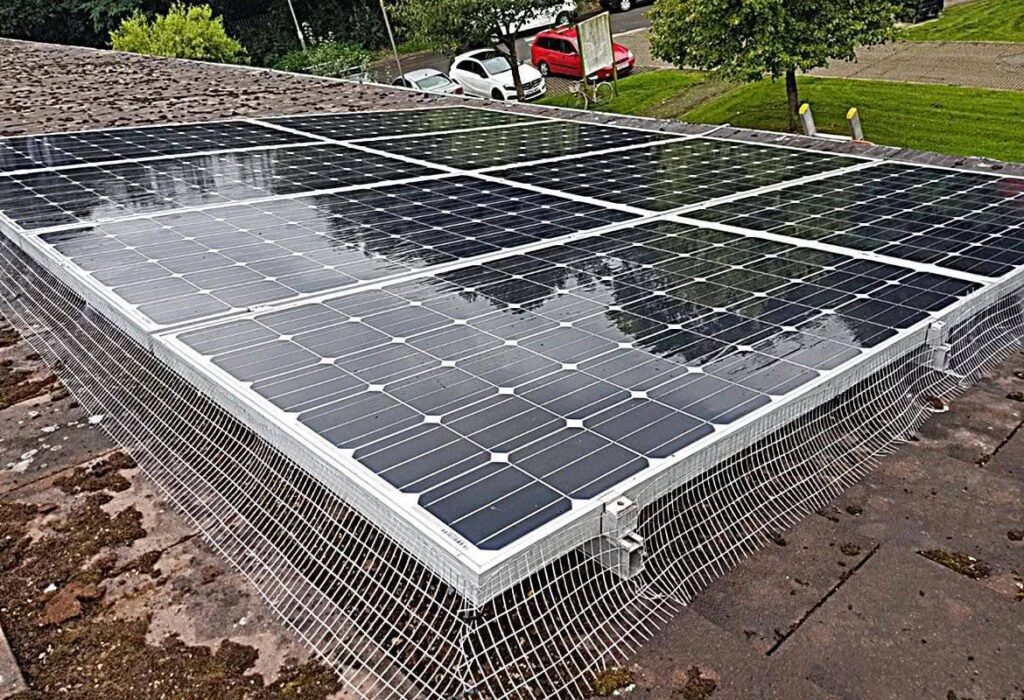 solar panel proofing for pigeons by ThermoPest