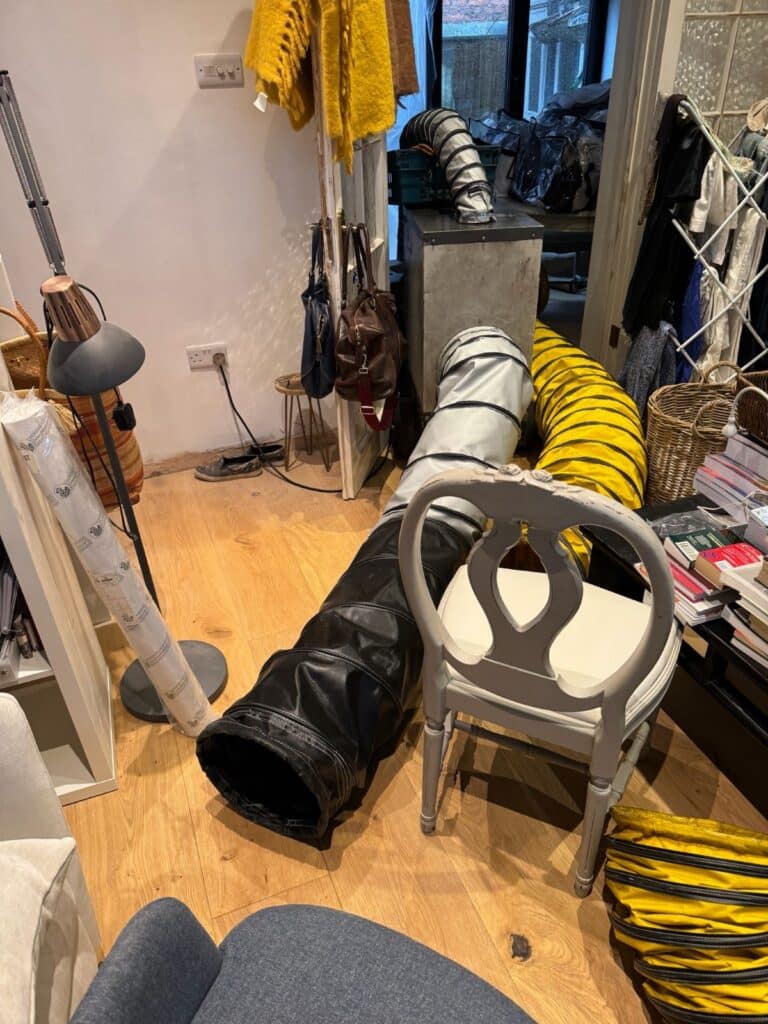 bed bug treatment process