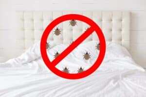 Stop sign with insects against bed background. There should be any bugs in bedroom