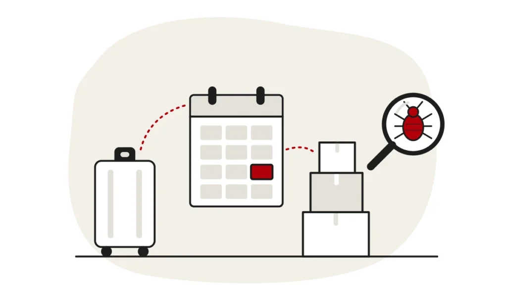 Illustration of a suitcase, a calendar page with one month highlighted in red and a stack of moving boxes, with a bed bug under a magnifying glass