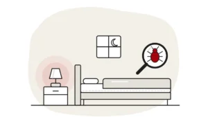 Illustration of a calm bedroom at night with a bedside lamp, with a bed bug under a magnifying glass