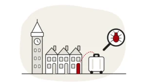 Illustration of a simple London skyline with a clock tower and terraced houses, a suitcase on the pavement and a bed bug under a magnifying glass