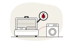 Illustration of an open suitcase with folded clothes and a dashed line to a washing machine, with a bed bug under a magnifying glass