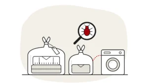 Illustration of tied plastic bags of folded clothes and a washing machine, with a bed bug under a magnifying glass