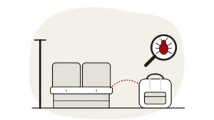 Illustration of train seats, a grab pole and a backpack, with a bed bug under a magnifying glass
