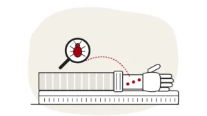 Illustration of an arm in a pyjama sleeve with bites on the bare wrist, and a bed bug under a magnifying glass