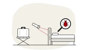 Illustration of a suitcase on a luggage rack away from a hotel bed, a torch beam on the headboard and a bed bug under a magnifying glass