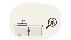 Illustration of a kitchen worktop with a sink and a cupboard underneath, with a cockroach under a magnifying glass