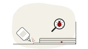 Illustration of a duster bottle puffing powder along a skirting board, with a bed bug under a magnifying glass