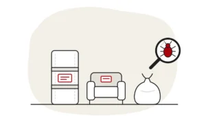 Illustration of a mattress and an armchair wrapped in plastic and labelled, beside a rubbish sack, with a bed bug under a magnifying glass