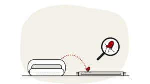 Illustration of a pet bed and a rug, with a flea under a magnifying glass