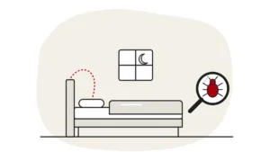 Illustration of a bed at night with a moon in the window and a dashed path to the pillow, with a bed bug under a magnifying glass