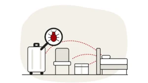 Illustration of a suitcase, a second-hand chair and a parcel with dashed lines leading to a bed, with a bed bug under a magnifying glass