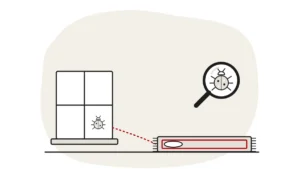 Illustration of a window with a small carpet beetle at the glass and a rug with a bare patch at its corner, with a carpet beetle under a magnifying glass