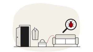 Illustration of an open front door with a coat on a hook and a bag on the floor, a dashed route towards a sofa, and a bed bug under a magnifying glass