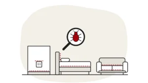 Illustration of a wall socket above a skirting board, a bed and a sofa with small red dashed marks at bed bug hiding spots, with a bed bug under a magnifying glass