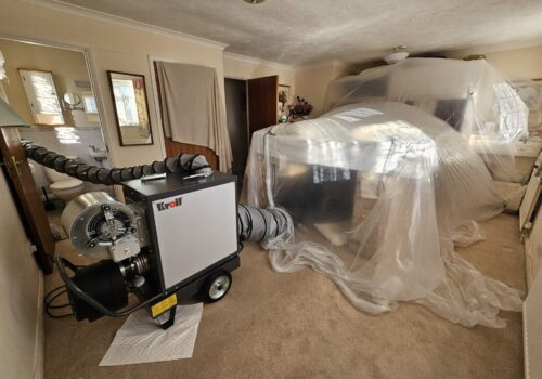 bed bug heat treatment near me